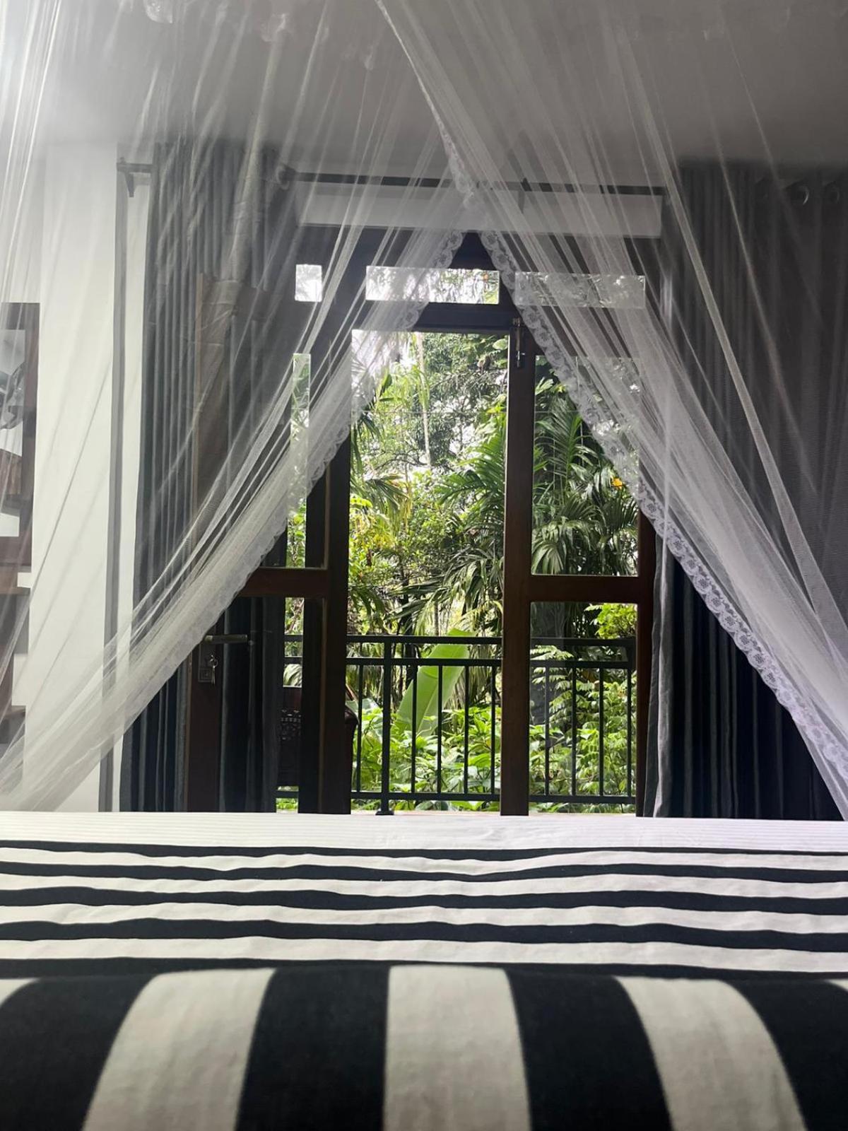 Ella Secret Paradise Rom bilde